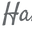 Handy 5.0 logo